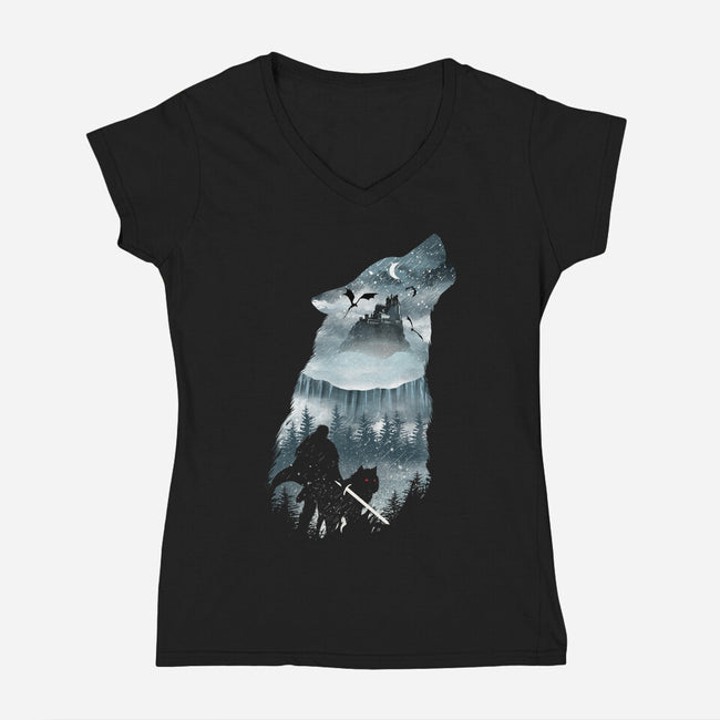 Winter Has Come-womens v-neck tee-dandingeroz