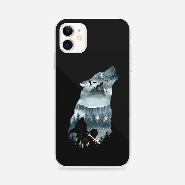 Winter Has Come-iphone snap phone case-dandingeroz