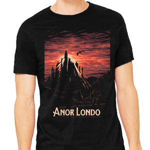Visit Anor Londo