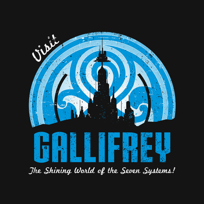 Visit Gallifrey-womens v-neck tee-alecxpstees