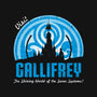 Visit Gallifrey-none stretched canvas-alecxpstees