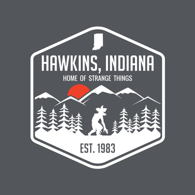 Visit Hawkins-none removable cover w insert throw pillow-waltermck