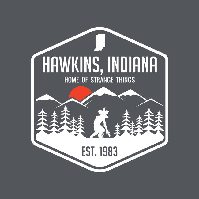 Visit Hawkins-none fleece blanket-waltermck