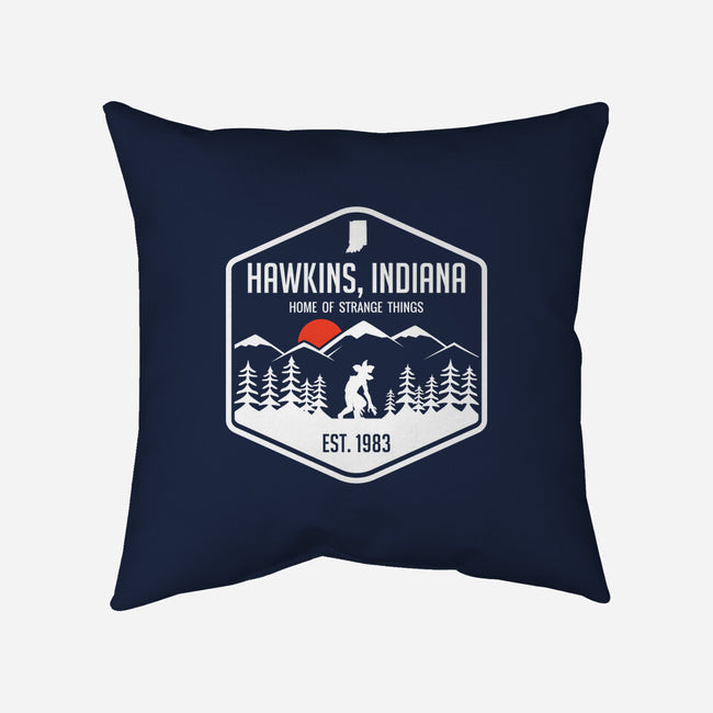 Visit Hawkins-none removable cover w insert throw pillow-waltermck