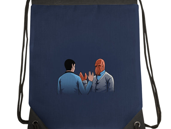 Vulcan Salute