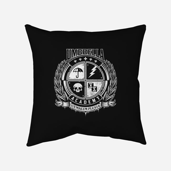 U Academy-none removable cover w insert throw pillow-StudioM6