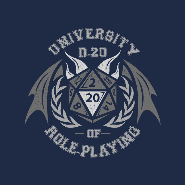 University of Role-Playing-youth pullover sweatshirt-jrberger