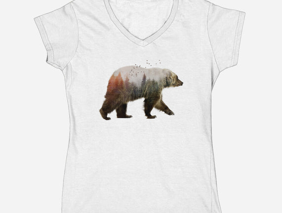 Ursa Nature