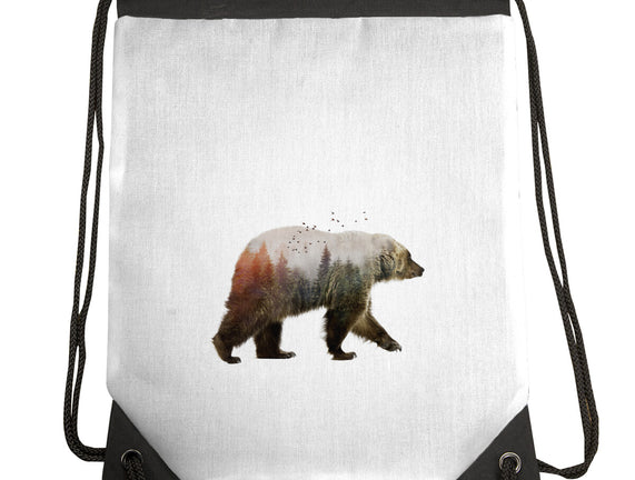 Ursa Nature