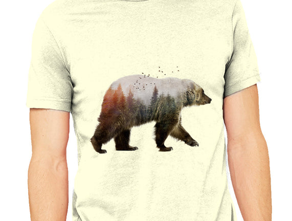 Ursa Nature
