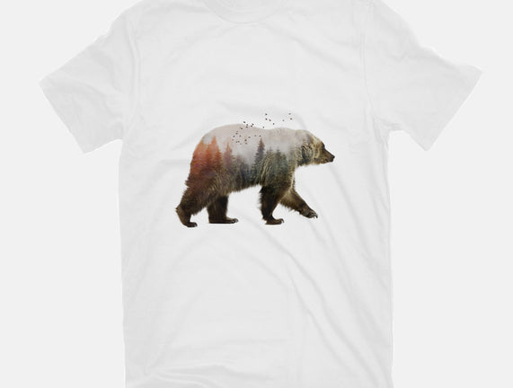 Ursa Nature