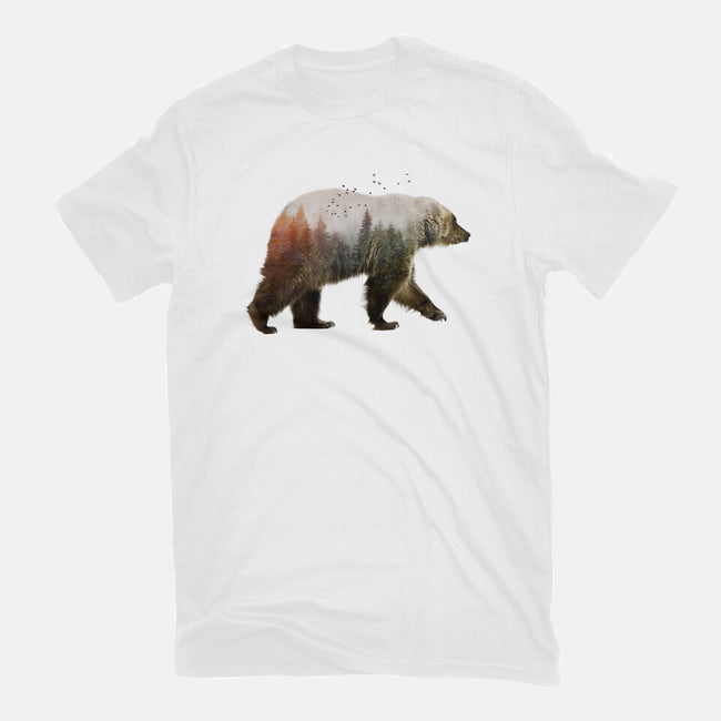 Ursa Nature-womens basic tee-SokolSelmani