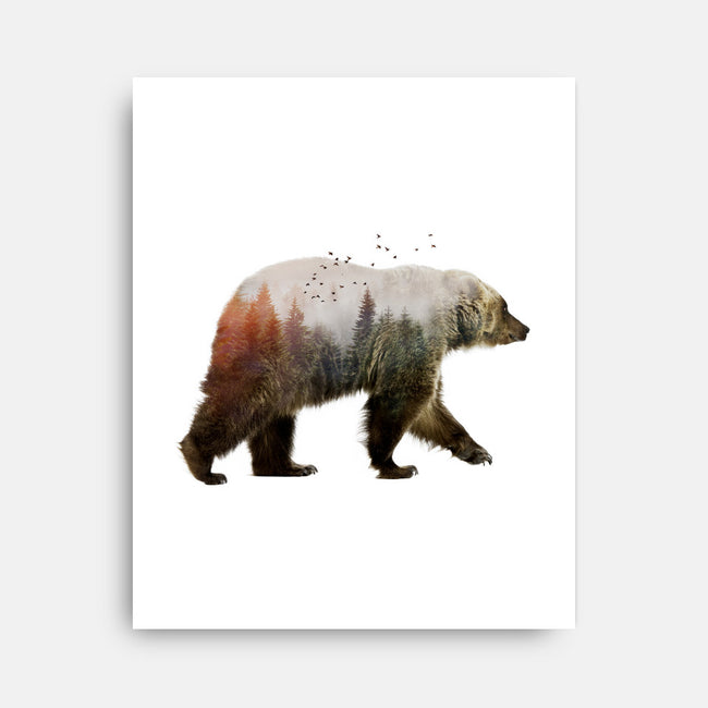 Ursa Nature-none stretched canvas-SokolSelmani