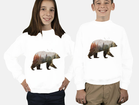 Ursa Nature