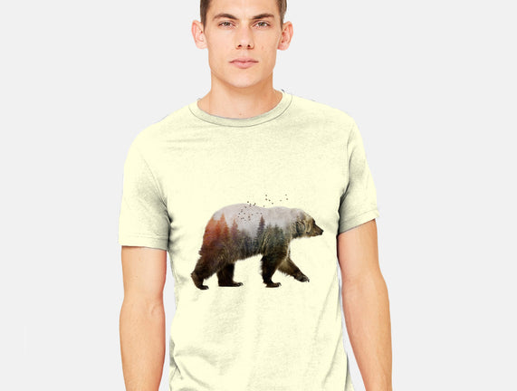 Ursa Nature