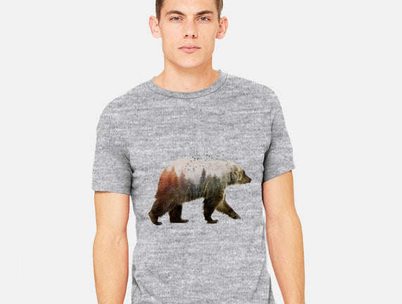 Ursa Nature