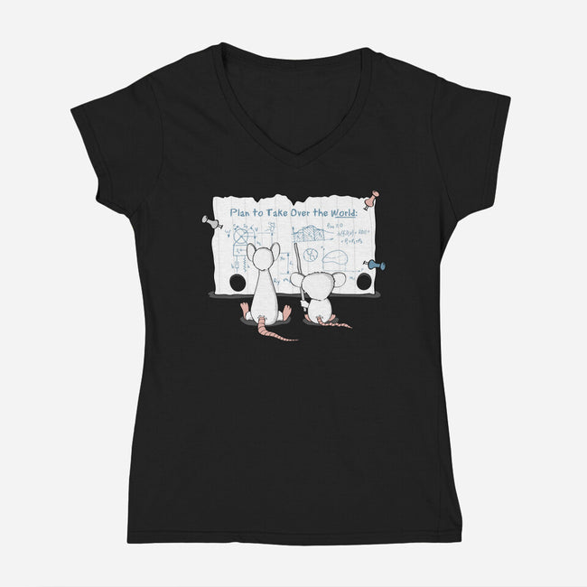 Take Over the World-womens v-neck tee-thehookshot