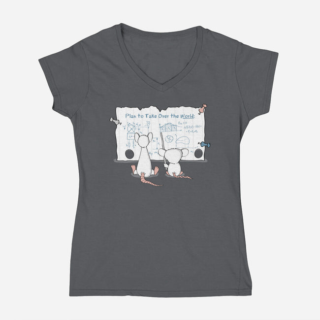 Take Over the World-womens v-neck tee-thehookshot
