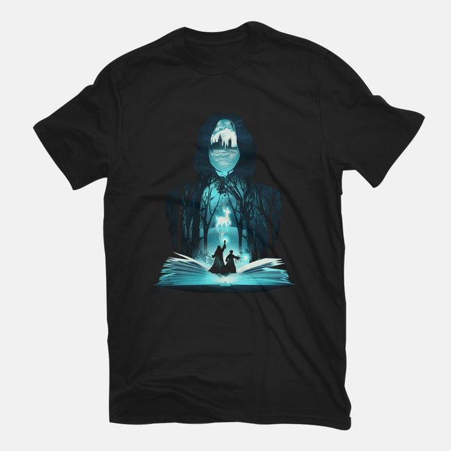 The 7th Book of Magic-mens heavyweight tee-dandingeroz