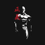 The Hero!-none removable cover w insert throw pillow-Sampool