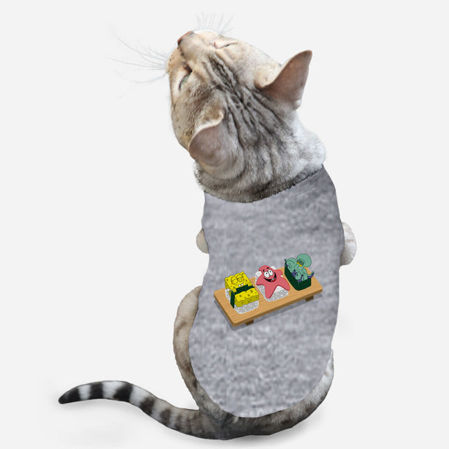 The Sushi Star-cat basic pet tank-Ionfox