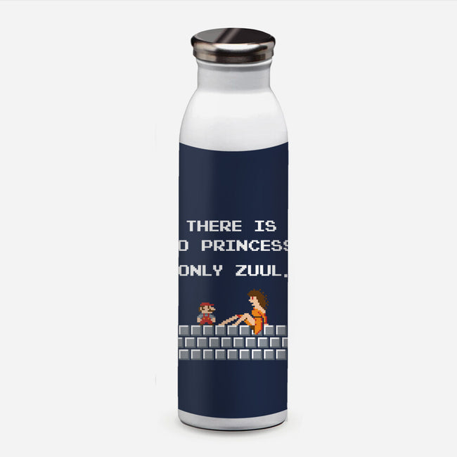 There Is No Princess-none water bottle drinkware-mikehandyart