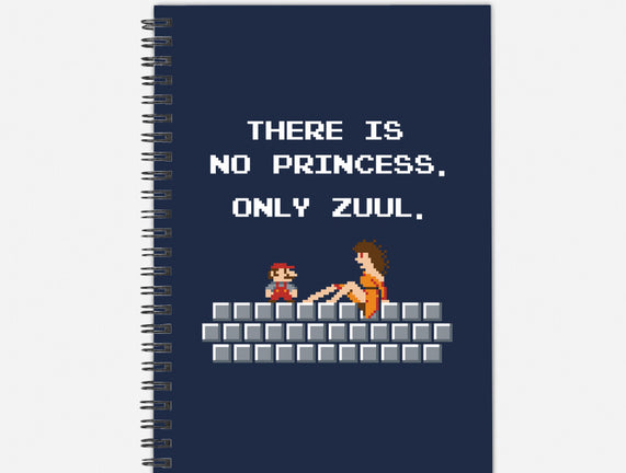 There Is No Princess