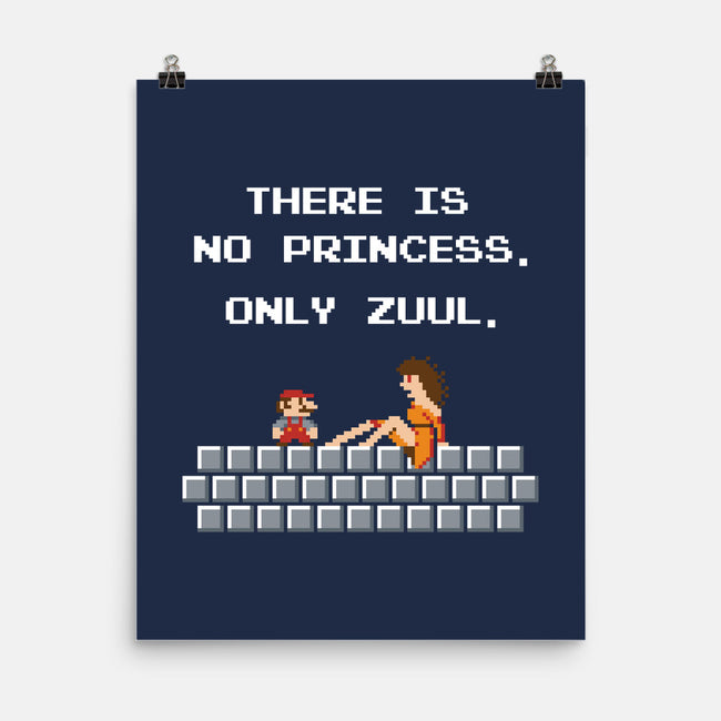 There Is No Princess-none matte poster-mikehandyart