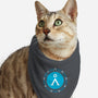 There's No Place Like Home-cat bandana pet collar-stepone7