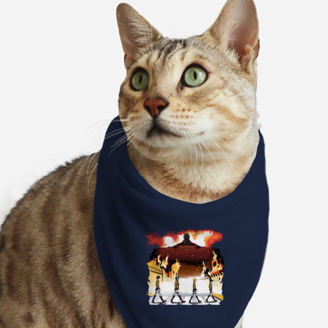 Titan's Road-cat bandana pet collar-Coinbox Tees