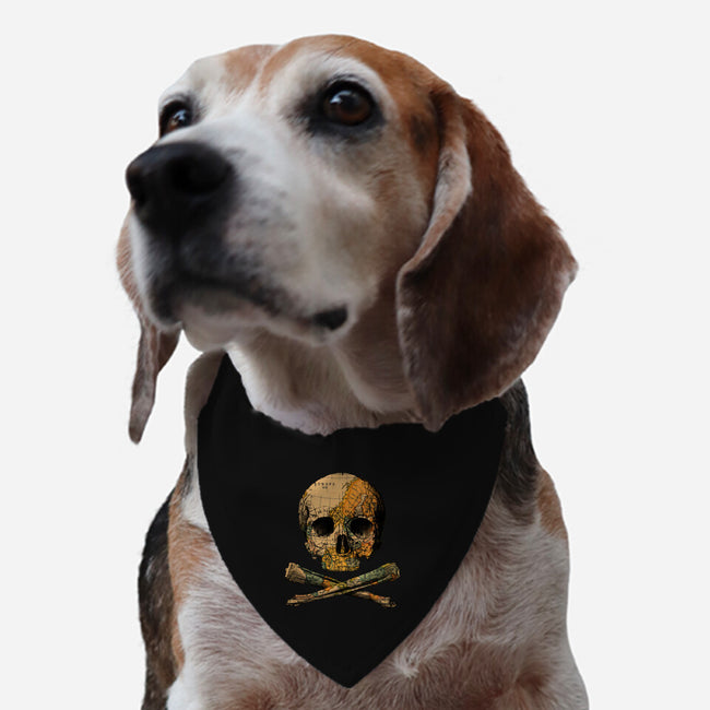 Treasure Map-dog adjustable pet collar-tobefonseca