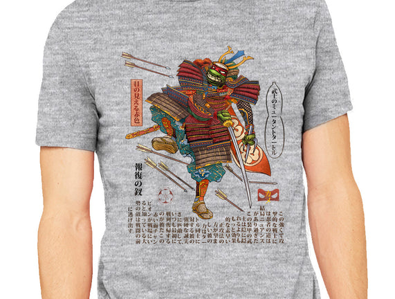 Samurai Raphael
