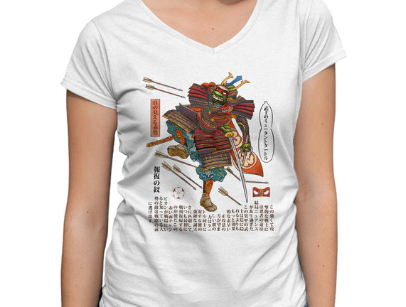 Samurai Raphael