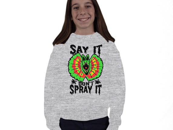 Say It Don't Spray It