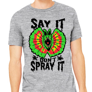 Say It Don't Spray It