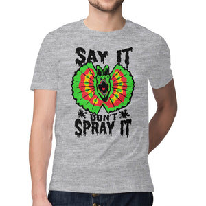 Say It Don't Spray It
