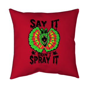 Say It Don't Spray It