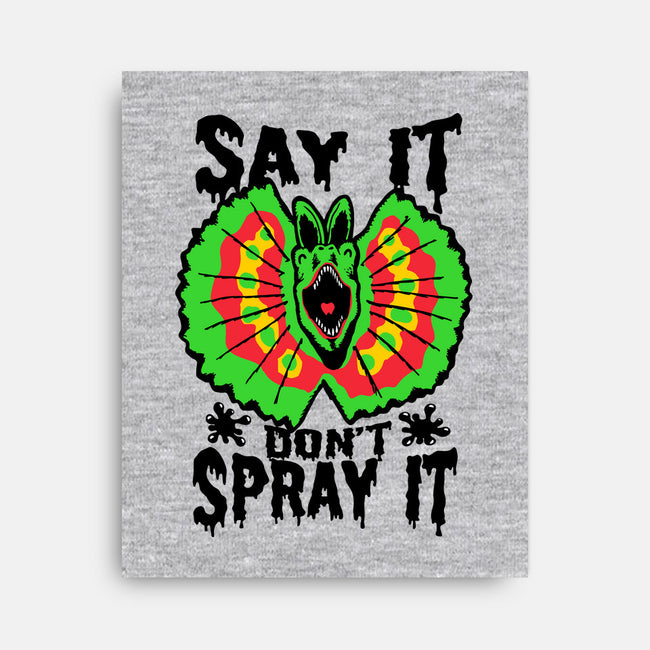 Say It Don't Spray It-none stretched canvas-Tabners