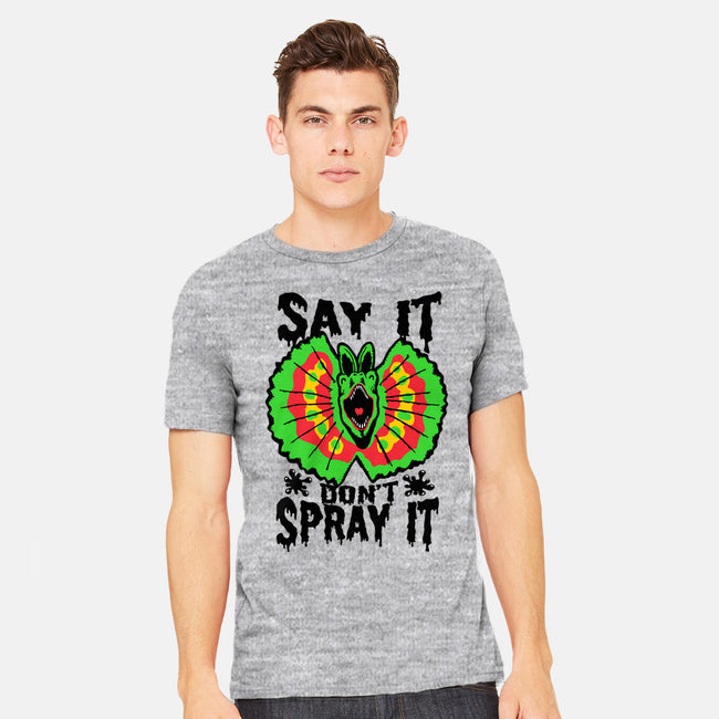Say It Don't Spray It-mens heavyweight tee-Tabners
