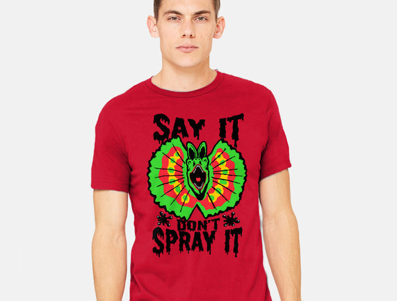 Say It Don't Spray It