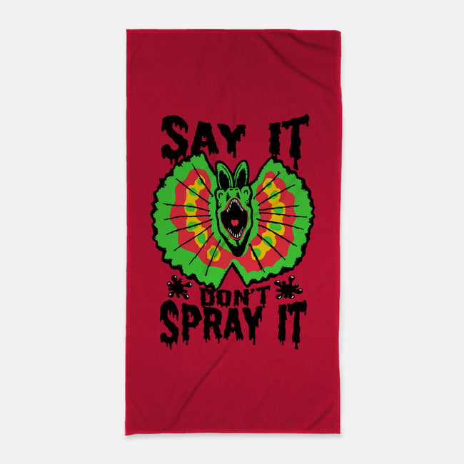 Say It Don't Spray It-none beach towel-Tabners