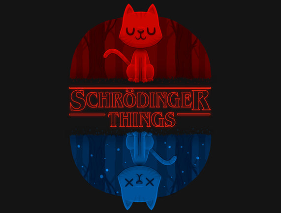 Schrodinger Things