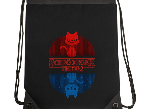 Schrodinger Things