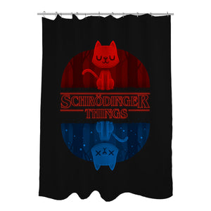 Schrodinger Things