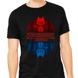 Schrodinger Things