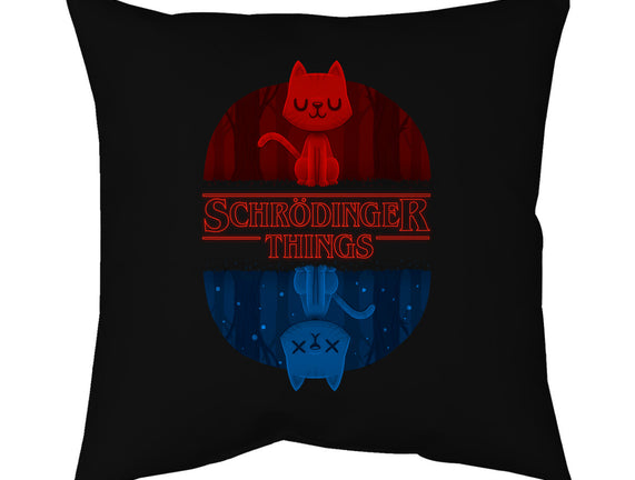 Schrodinger Things