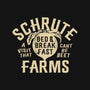 Schrute Farms-womens v-neck tee-AJ Paglia
