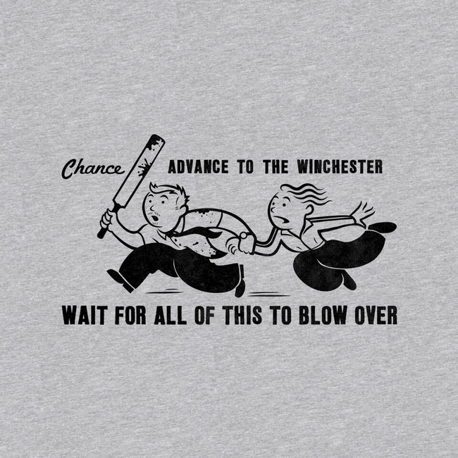 Shaun's Last Chance-womens v-neck tee-stationjack