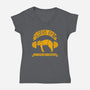 Sloth's Gym-womens v-neck tee-Legendary Phoenix