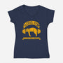 Sloth's Gym-womens v-neck tee-Legendary Phoenix